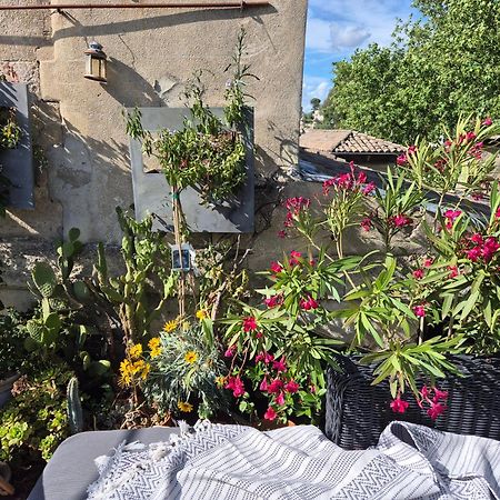 Un Nid Sur Les Toits Face Au Palais Des Papes Apartment Avignon Ngoại thất bức ảnh