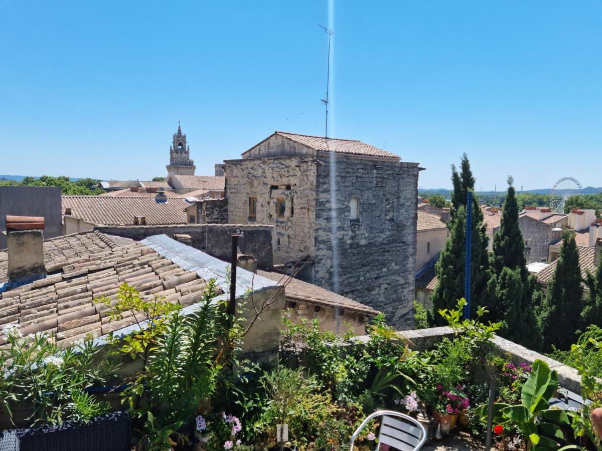 Un Nid Sur Les Toits Face Au Palais Des Papes Apartment Avignon Ngoại thất bức ảnh