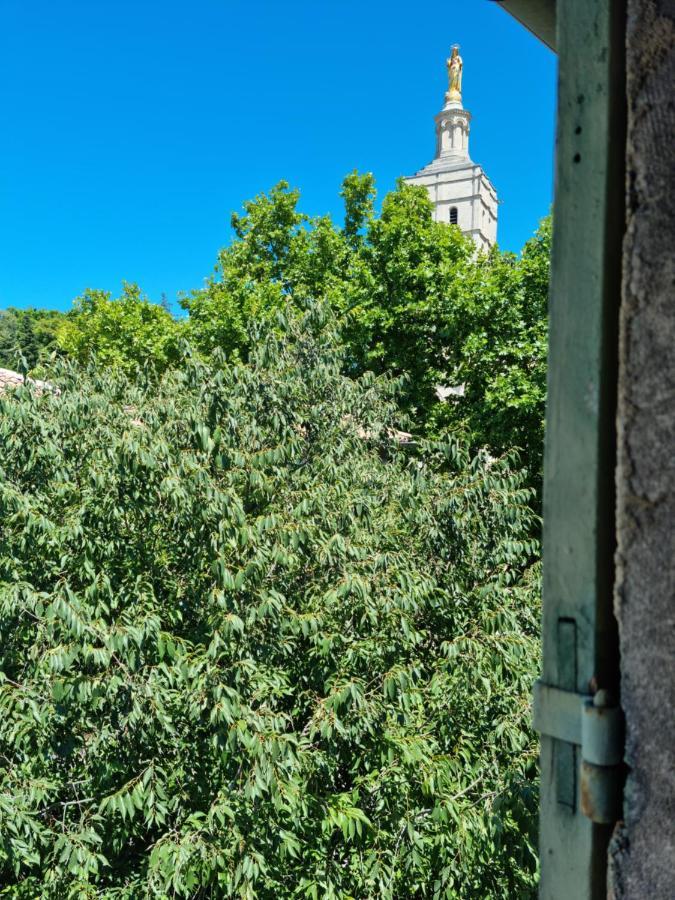 Un Nid Sur Les Toits Face Au Palais Des Papes Apartment Avignon Ngoại thất bức ảnh