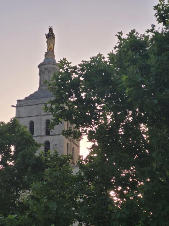 Un Nid Sur Les Toits Face Au Palais Des Papes Apartment Avignon Ngoại thất bức ảnh