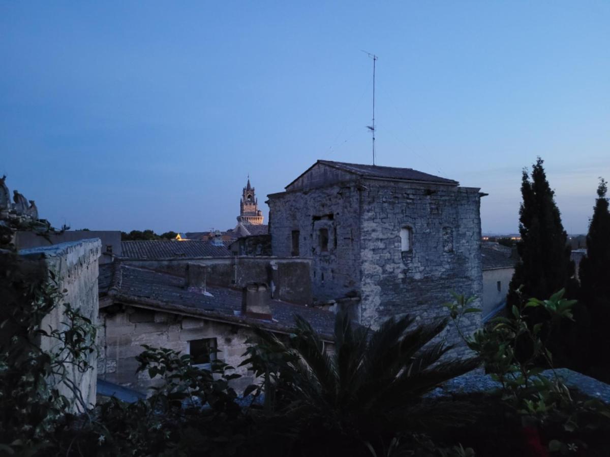 Un Nid Sur Les Toits Face Au Palais Des Papes Apartment Avignon Ngoại thất bức ảnh