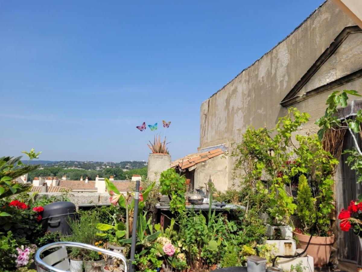 Un Nid Sur Les Toits Face Au Palais Des Papes Apartment Avignon Ngoại thất bức ảnh