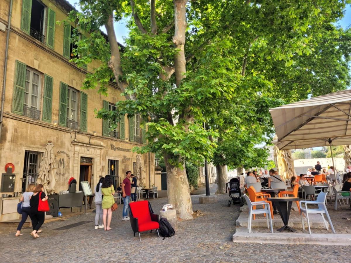 Un Nid Sur Les Toits Face Au Palais Des Papes Apartment Avignon Ngoại thất bức ảnh