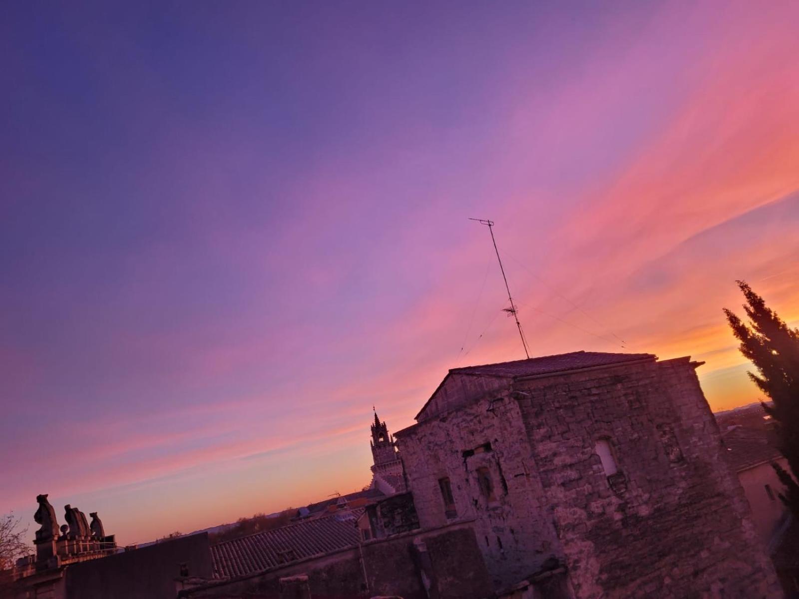 Un Nid Sur Les Toits Face Au Palais Des Papes Apartment Avignon Ngoại thất bức ảnh