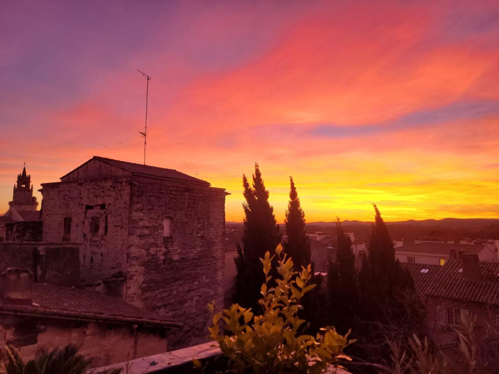 Un Nid Sur Les Toits Face Au Palais Des Papes Apartment Avignon Ngoại thất bức ảnh