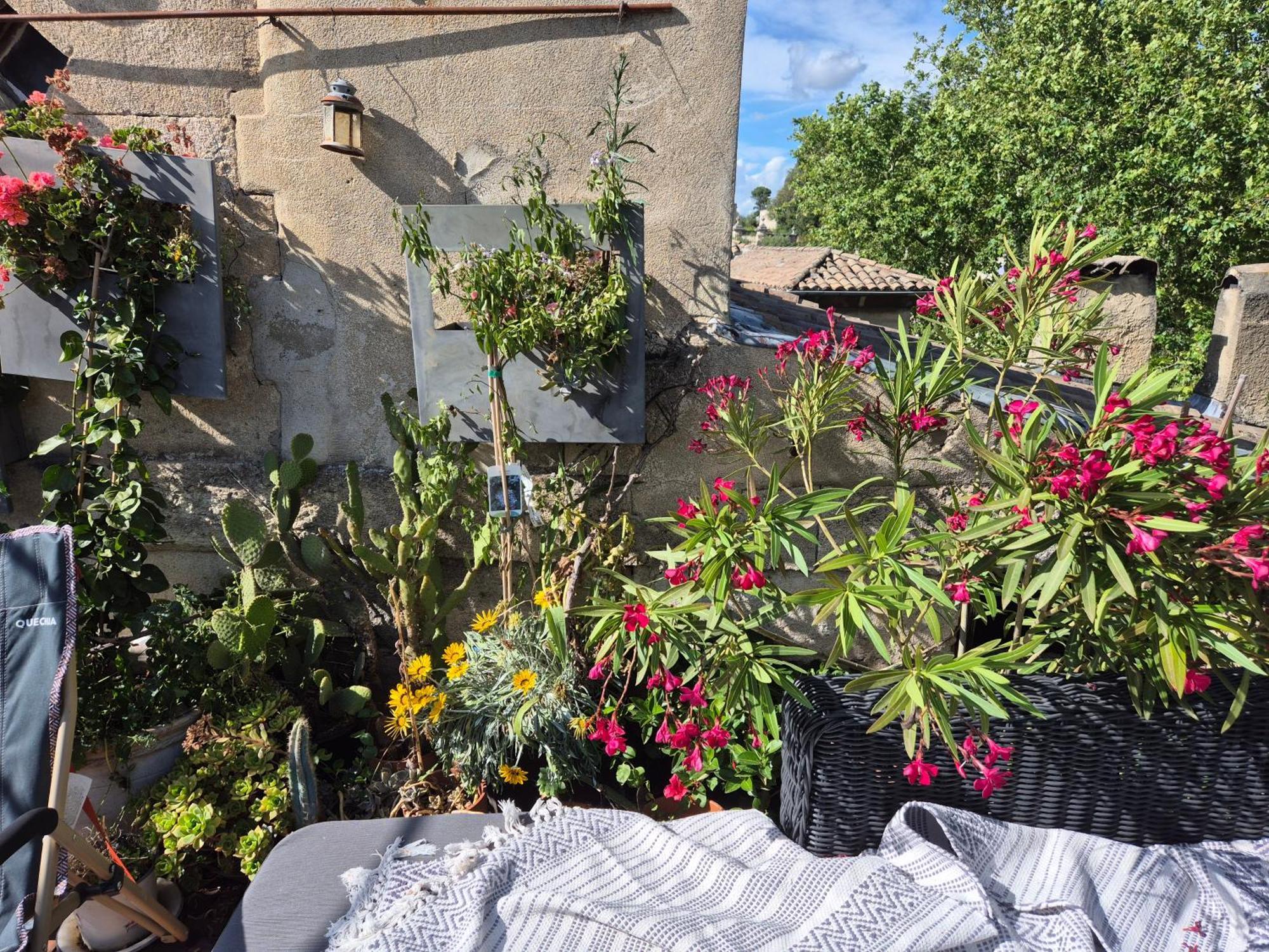 Un Nid Sur Les Toits Face Au Palais Des Papes Apartment Avignon Ngoại thất bức ảnh