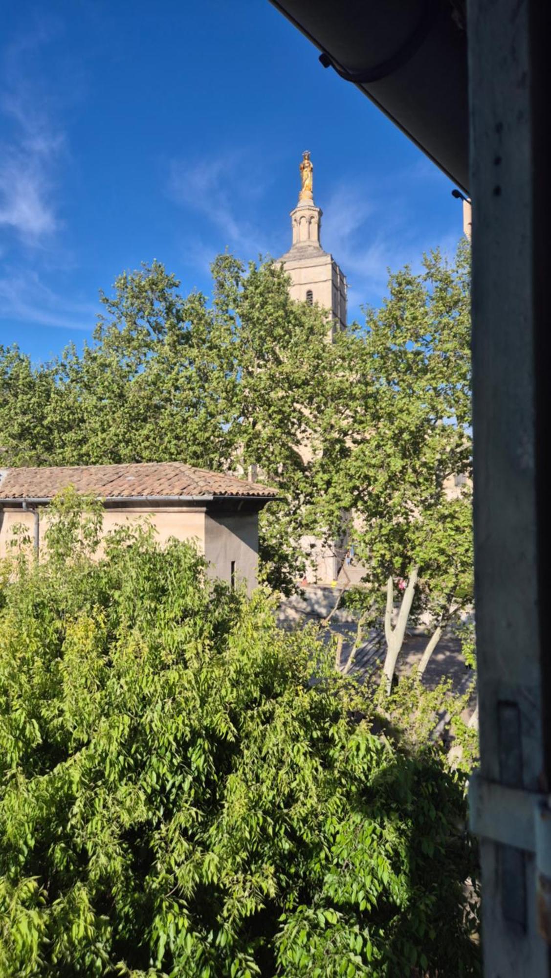 Un Nid Sur Les Toits Face Au Palais Des Papes Apartment Avignon Ngoại thất bức ảnh